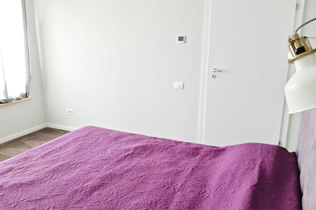 Pineview Lempes Villa Braşov Eksteriør bilde