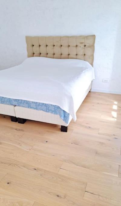 Pineview Lempes Villa Braşov Eksteriør bilde