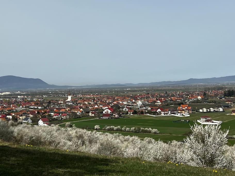 Pineview Lempes Villa Braşov Eksteriør bilde